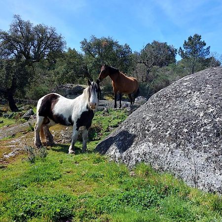 Magic Nature Lodge Marvão Zewnętrze zdjęcie