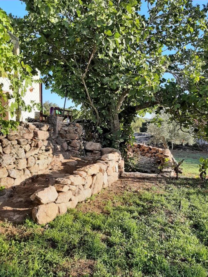 Magic Nature Lodge Marvão Zewnętrze zdjęcie