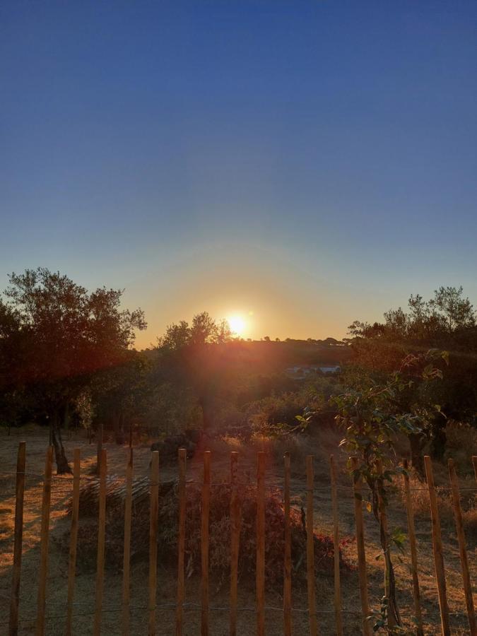Magic Nature Lodge Marvão Zewnętrze zdjęcie