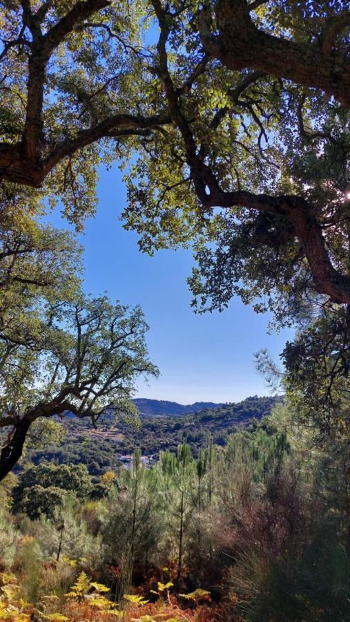 Magic Nature Lodge Marvão Zewnętrze zdjęcie