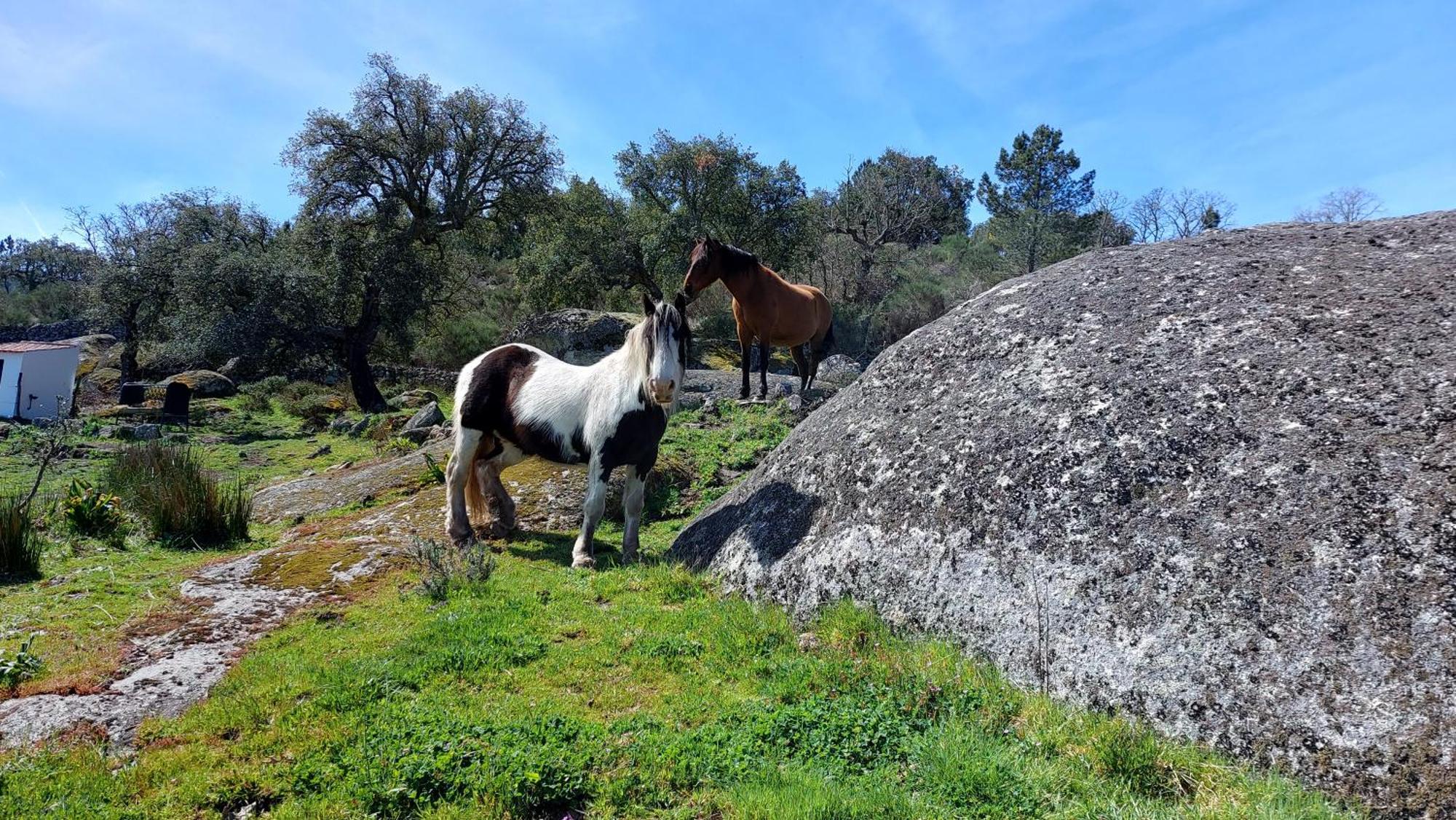 Magic Nature Lodge Marvão Zewnętrze zdjęcie